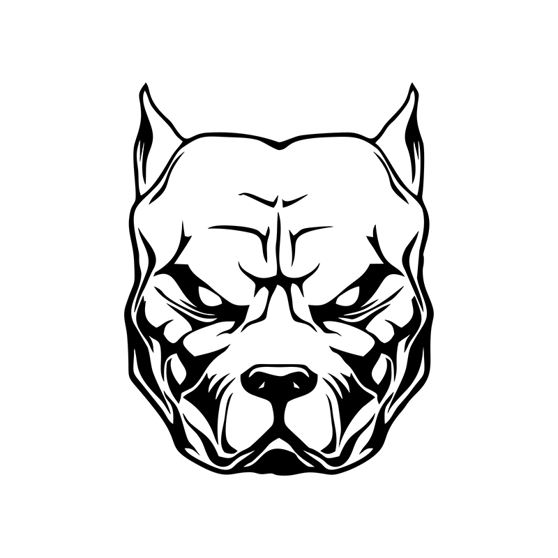 Motorcycle Sticker dog pattern - огляд і ціна Motorcycle Gear For Dogs