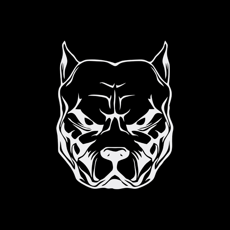 Motorcycle Sticker dog pattern - огляд і ціна Motorcycle Gear For Dogs