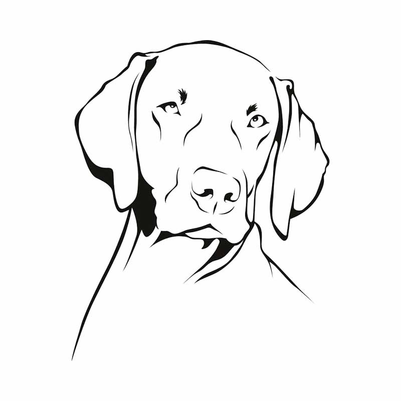 Weimaraner Dog Outline Waterpr - огляд і ціна Motorcycle Gear For Dogs