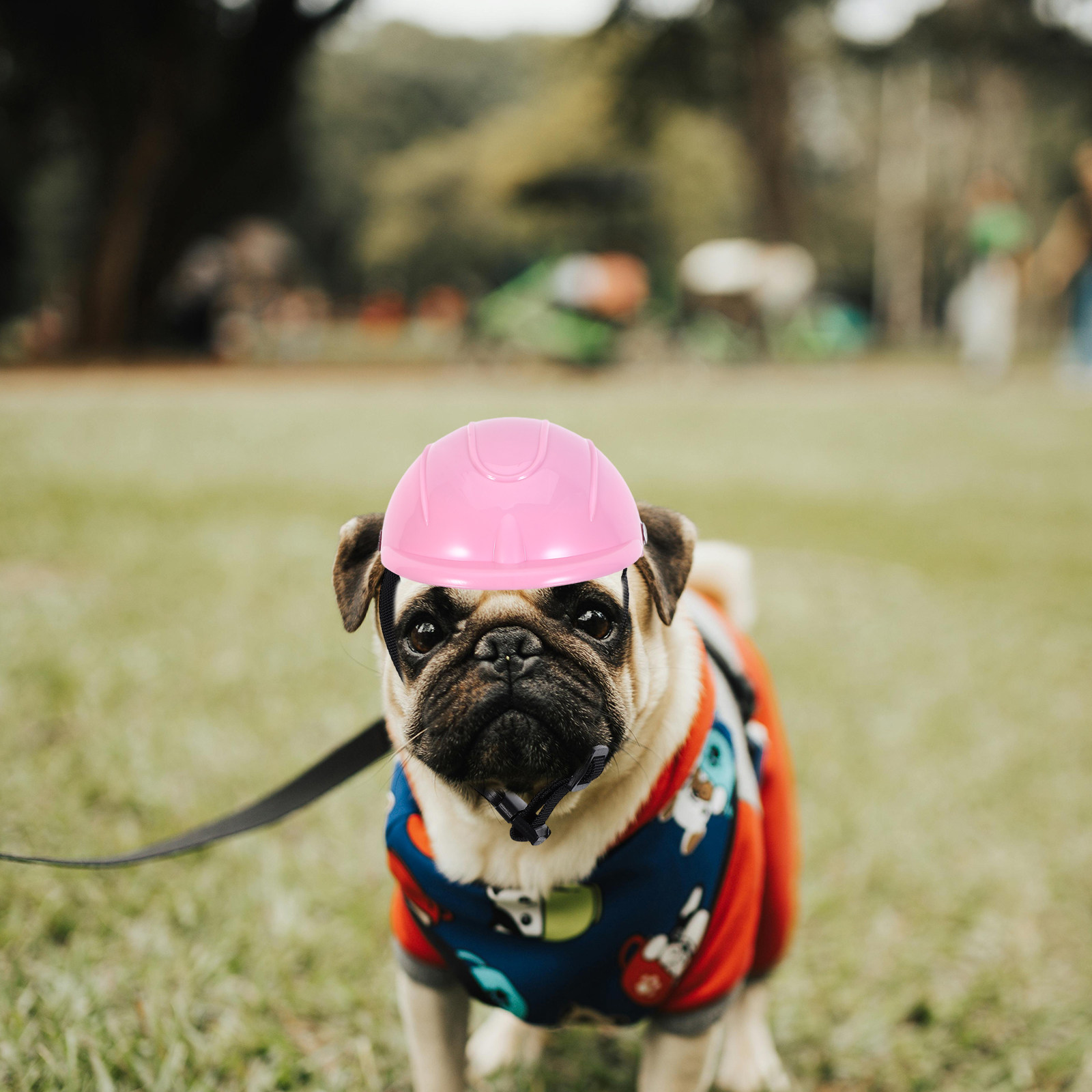 Small Dog Adjustable Pet Safet - огляд і ціна Motorcycle Gear For Dogs