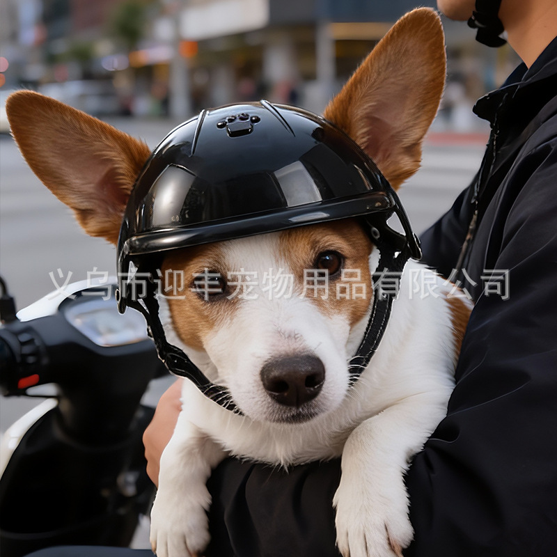 Pink Motorcycle Pet Helmet wit - огляд і ціна Motorcycle Gear For Dogs