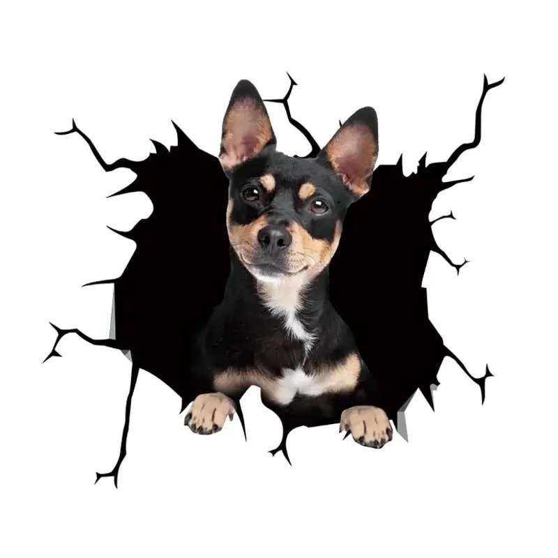 1Pc  French Bulldog Dog Sticke - огляд і ціна Motorcycle Gear For Dogs