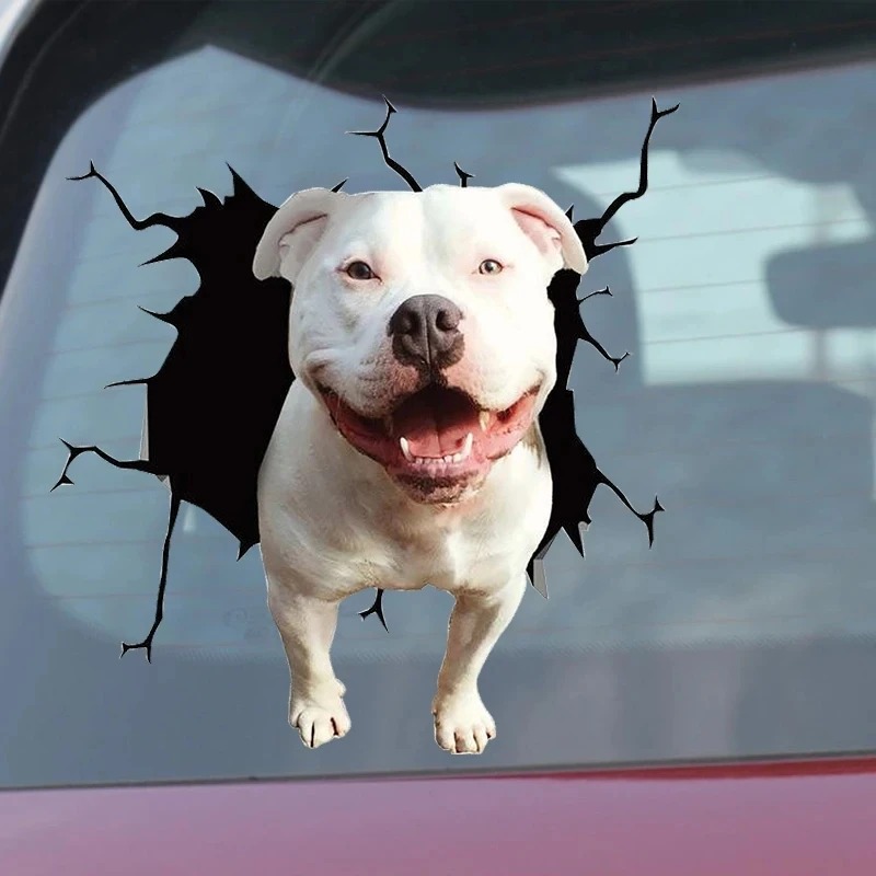 1Pc  French Bulldog Dog Sticke - огляд і ціна Motorcycle Gear For Dogs