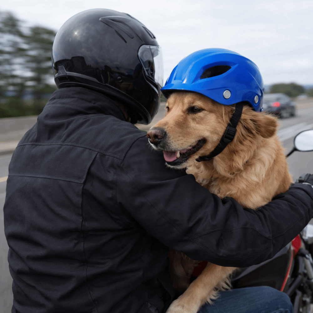 Pet Headgear Adjustable Dog He - огляд і ціна Motorcycle Gear For Dogs