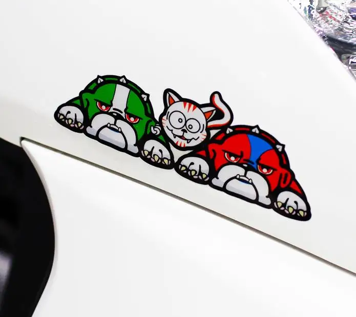 MotoGP Mugello Turtle Rossi Ra - огляд і ціна Motorcycle Gear For Dogs